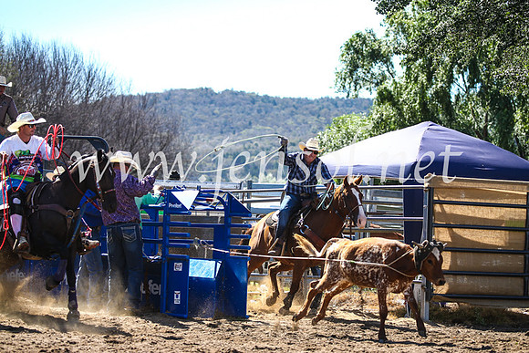 CoomaRodeo2017_2414