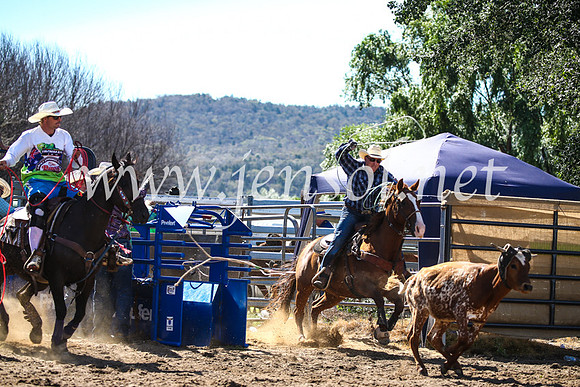 CoomaRodeo2017_2413