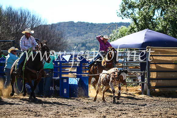 CoomaRodeo2017_2422