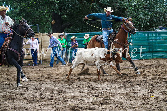 CoomaRodeo2017_1233