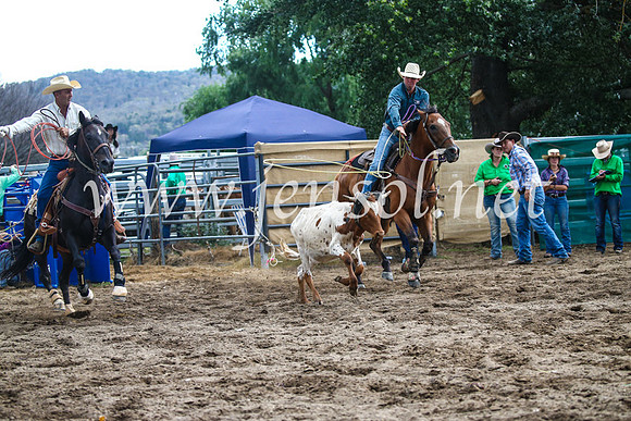 CoomaRodeo2017_1236