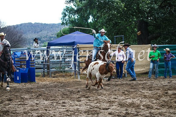 CoomaRodeo2017_1303