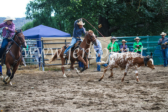 CoomaRodeo2017_1291