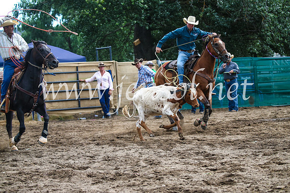 CoomaRodeo2017_1229