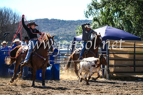 CoomaRodeo2017_2415