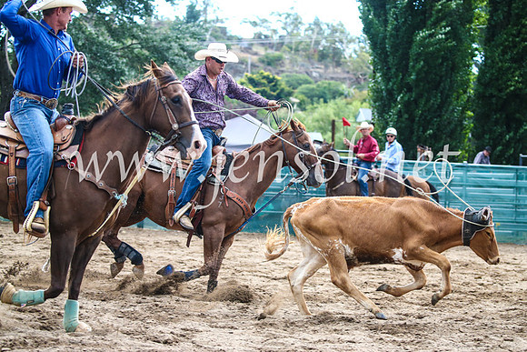 CoomaRodeo2017_1270