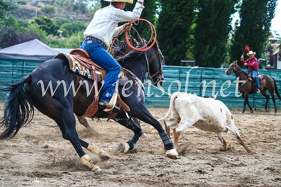 CoomaRodeo2017_1234