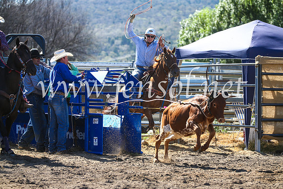 CoomaRodeo2017_2431