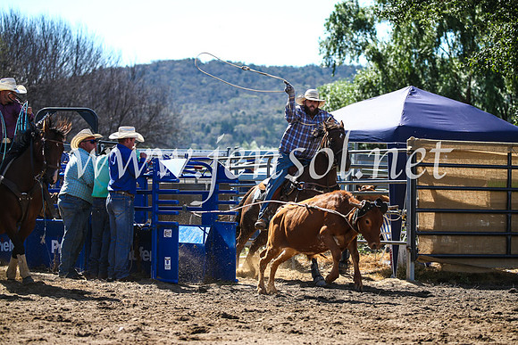 CoomaRodeo2017_2409