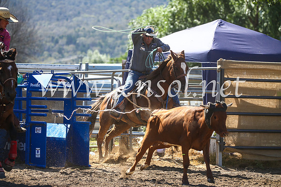 CoomaRodeo2017_2424