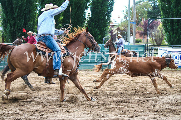 CoomaRodeo2017_1378