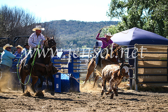 CoomaRodeo2017_2420