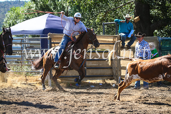 CoomaRodeo2017_2433
