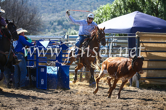 CoomaRodeo2017_2434