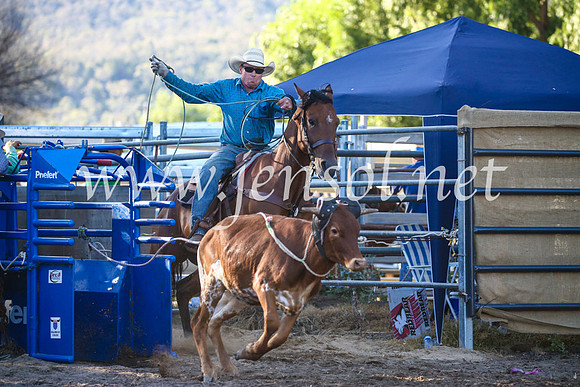 CoomaRodeo2017_2911