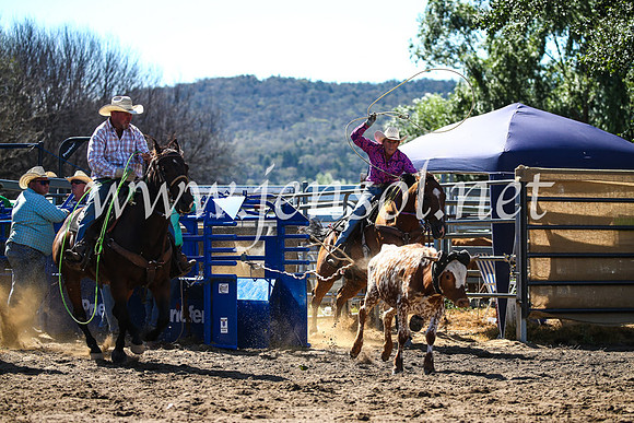 CoomaRodeo2017_2421