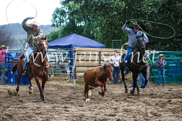 CoomaRodeo2017_1218
