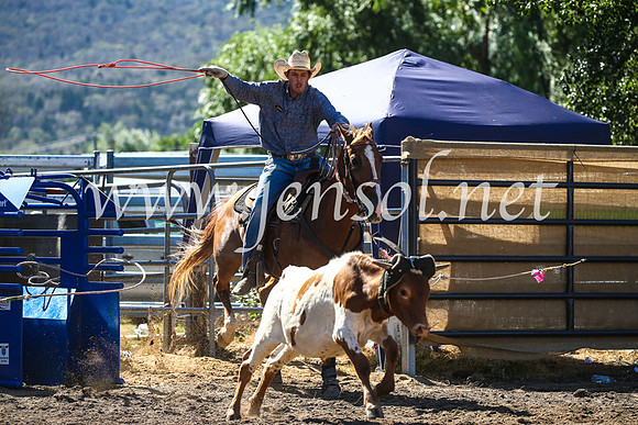 CoomaRodeo2017_2444