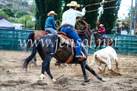 CoomaRodeo2017_1248
