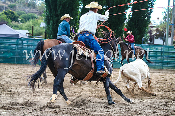 CoomaRodeo2017_1248
