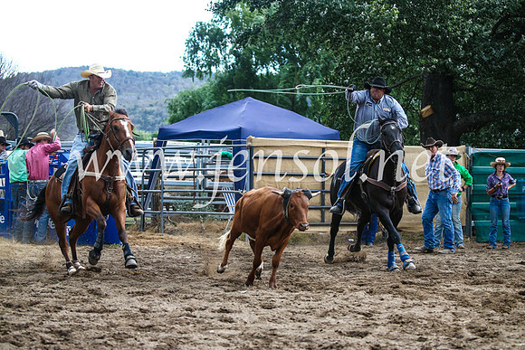 CoomaRodeo2017_1220