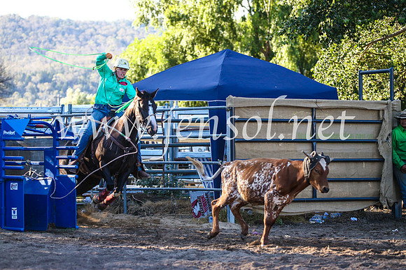 CoomaRodeo2017_2936