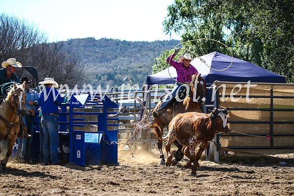 CoomaRodeo2017_2406