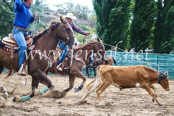 CoomaRodeo2017_1271