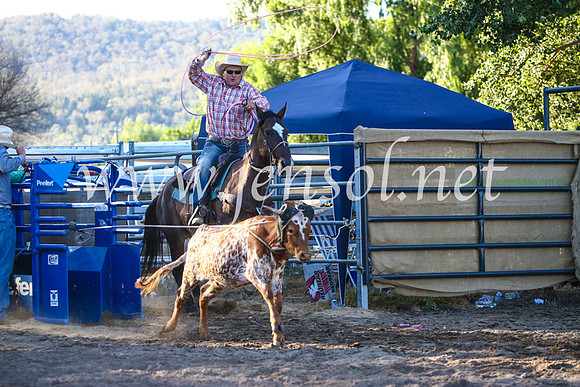 CoomaRodeo2017_2927