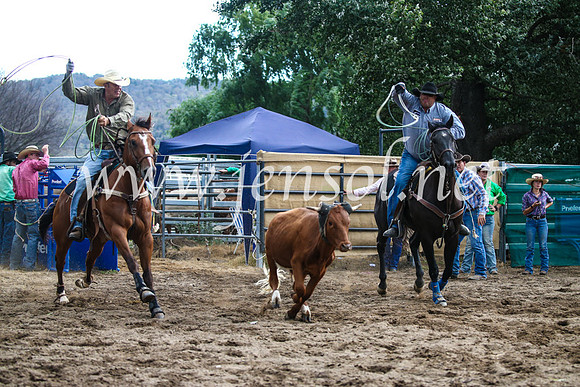 CoomaRodeo2017_1217