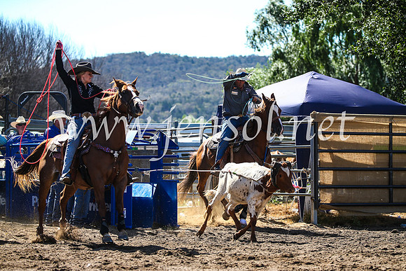 CoomaRodeo2017_2416