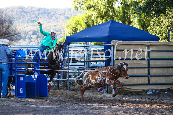 CoomaRodeo2017_2937