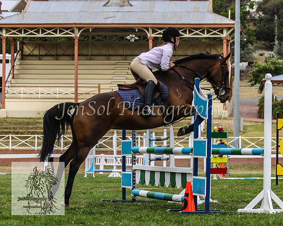 Wed_Showjumping 090