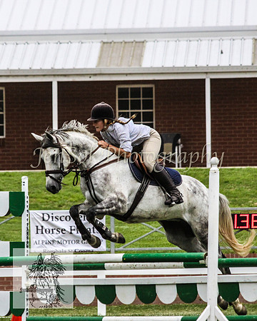 Wed_Showjumping 327