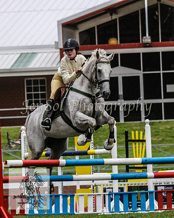Wed_Showjumping 324