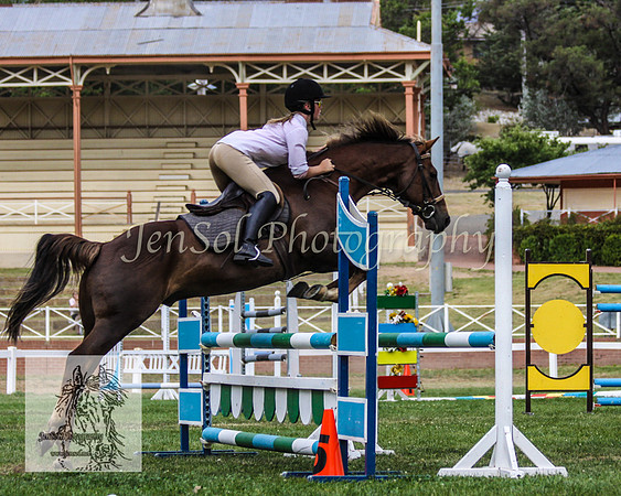 Wed_Showjumping 173