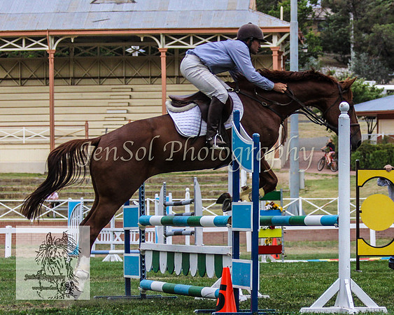 Wed_Showjumping 241