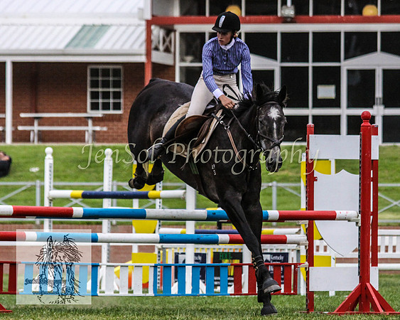 Wed_Showjumping 272