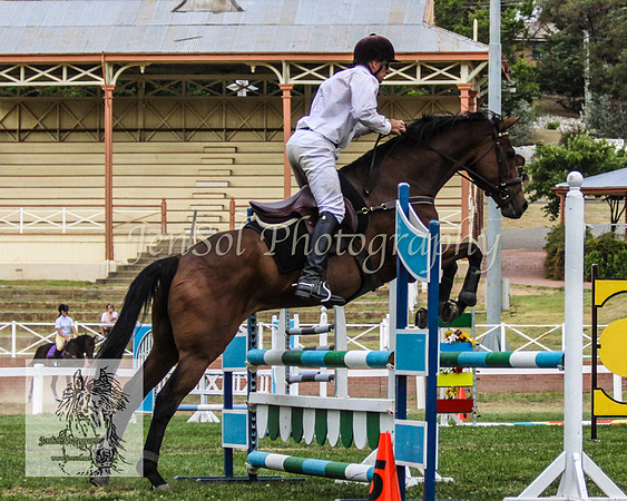 Wed_Showjumping 265
