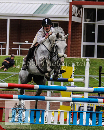 Wed_Showjumping 208