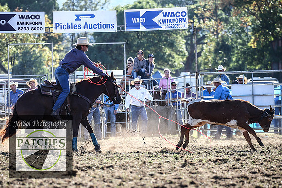 QueanbeyanRodeo2018_7705