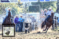 QueanbeyanRodeo2018_7540