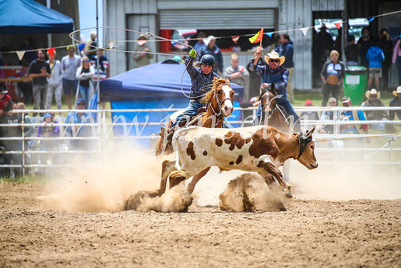 BungendoreRodeo2017_2548