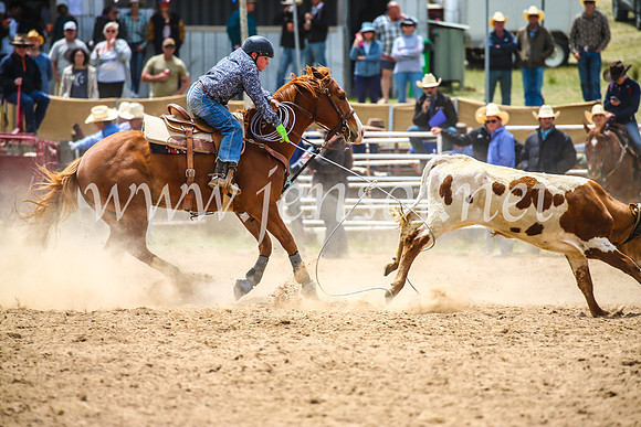BungendoreRodeo2017_2552