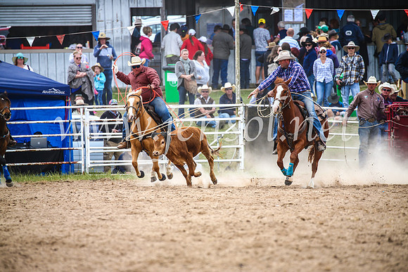 BungendoreRodeo2017_2576