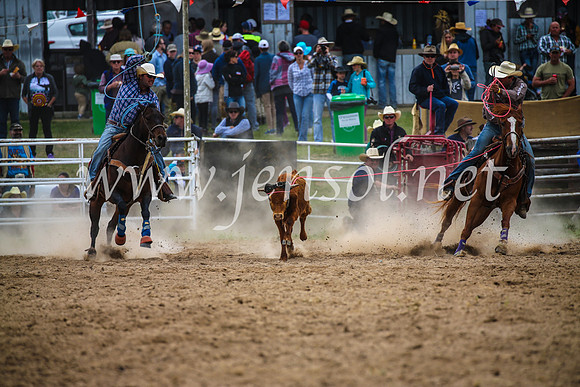 BungendoreRodeo2017_2497