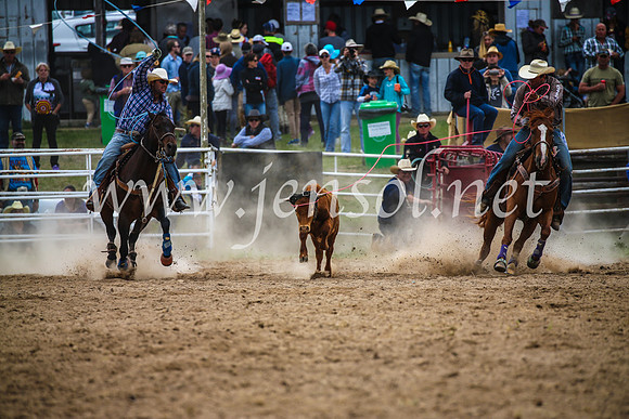 BungendoreRodeo2017_2498