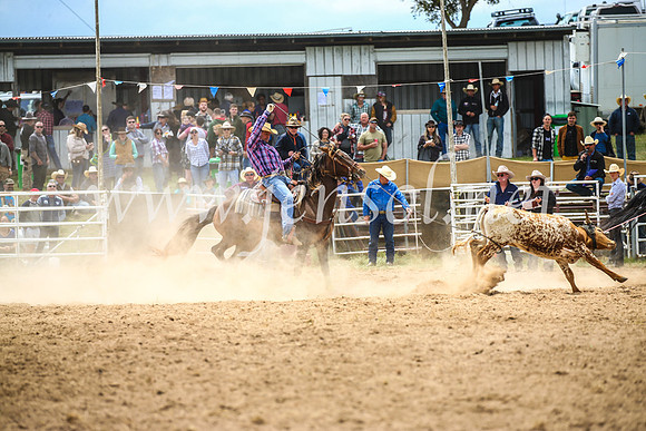 BungendoreRodeo2017_2643