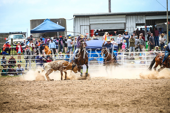 BungendoreRodeo2017_2638
