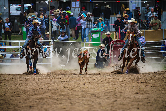 BungendoreRodeo2017_2499